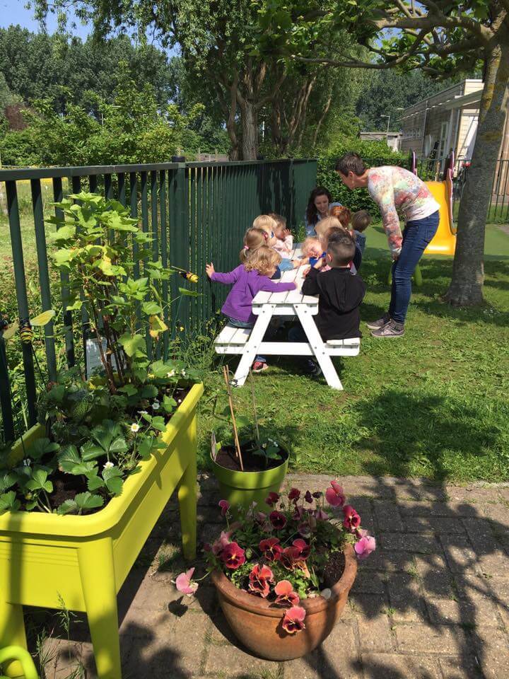Wat drinken in de tuin