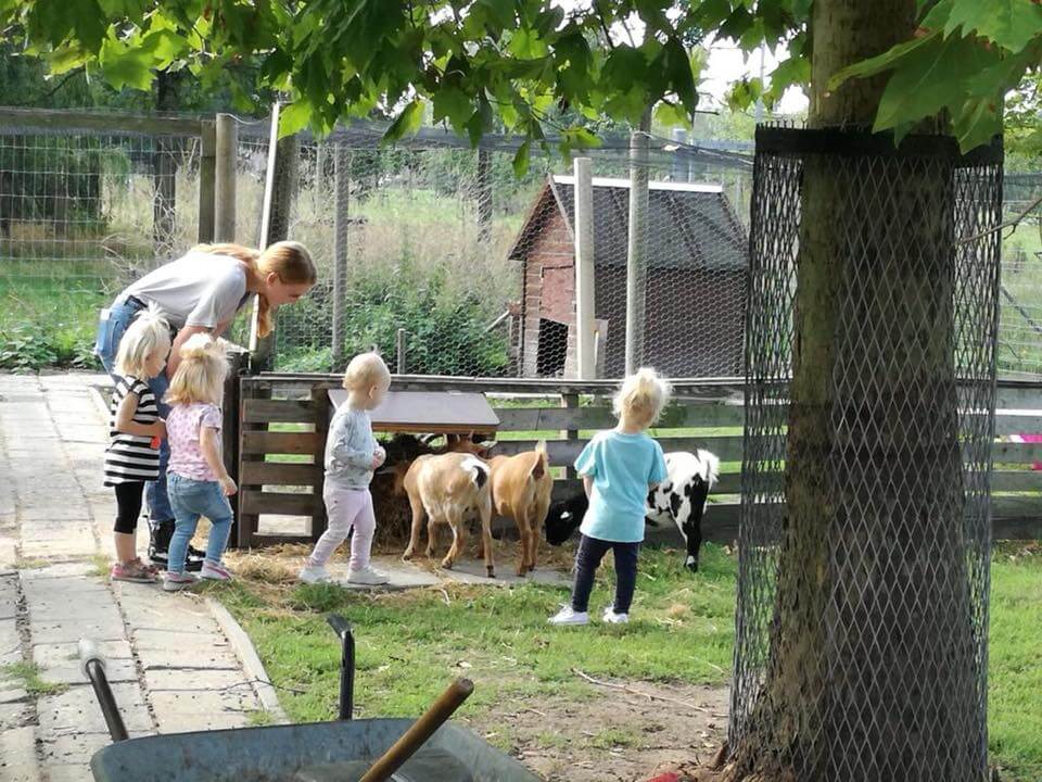 Op bezoek bij kinderboerderij De Stek in Almere